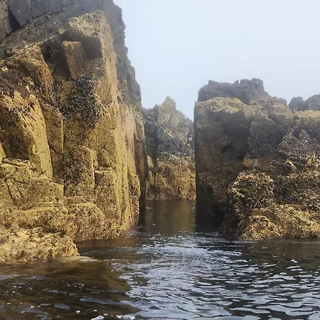 Copper Coast With Sea Views Alpesi faház Waterford
